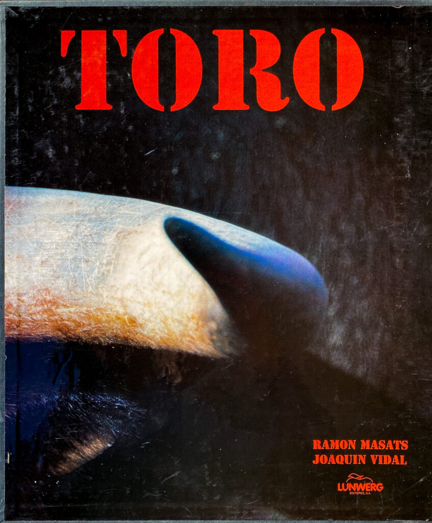Ramón Masats - Toro (1998)