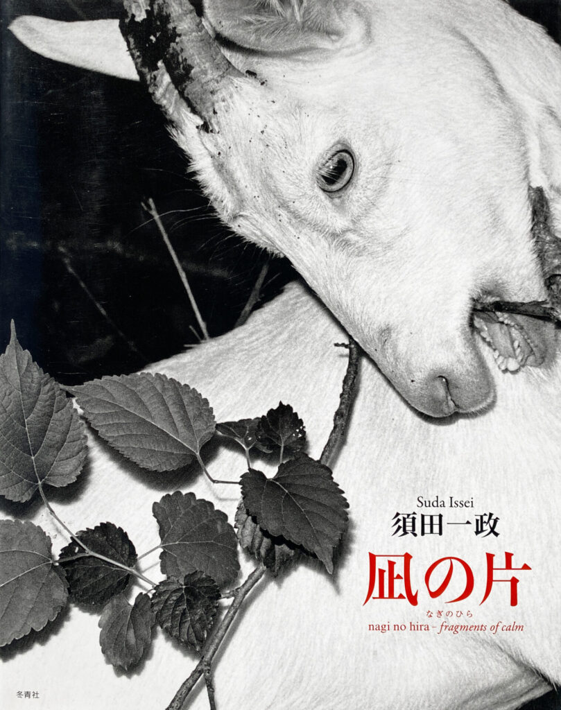 Issei Suda - Fragments of calm (2013)