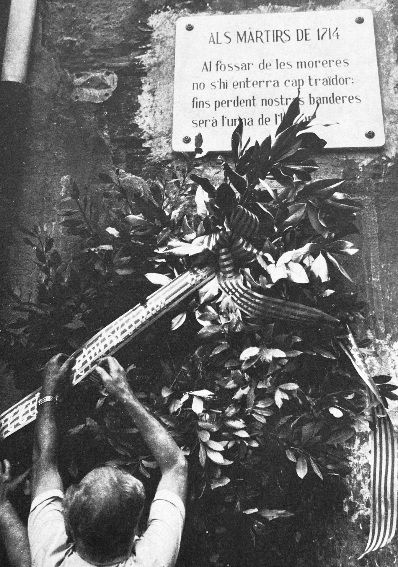 Un millón de segadors (1977) - Image 6