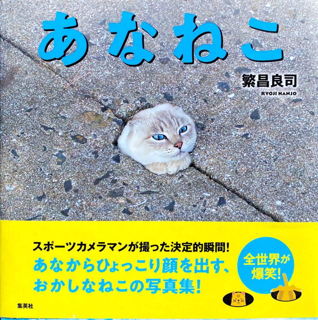 Ryoji Hanjo - Ananeko (2020)